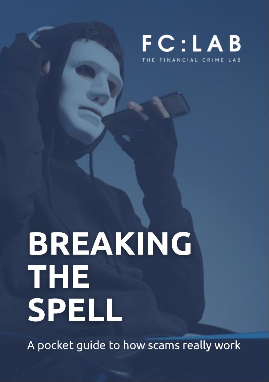 Breaking the Spell guide cover