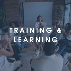Training and learning for fraud and financial crime prevention professionals